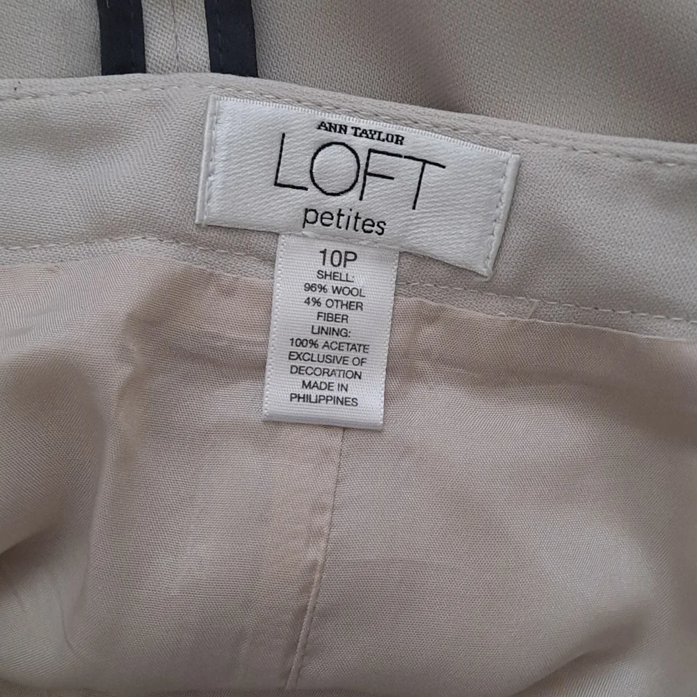 Ann Taylor Loft Knee Length Pleated Fit and Flair Wool Skirt Size 10P
